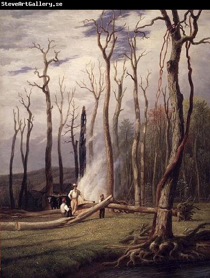 unknow artist Spring Burning Trees in a Girdled Clearing Western Scene